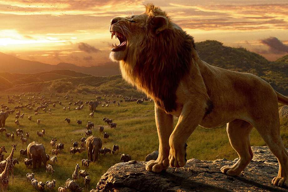 La frase "Hakuna Matata" se popularizó en el cine con la película de "El rey león".