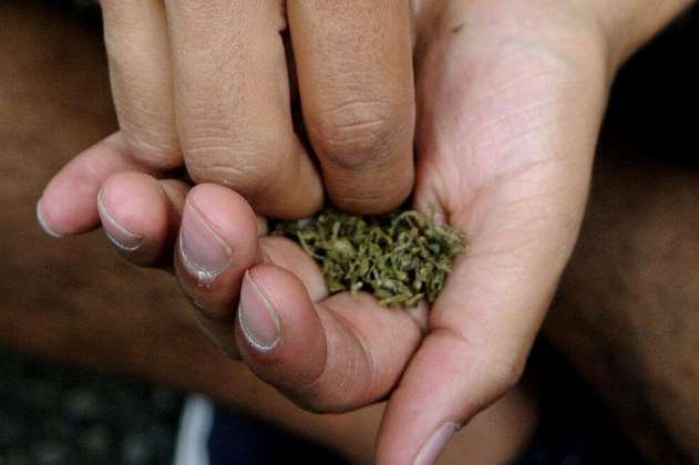 Incautan casi media tonelada de marihuana en carretera de Tolima 