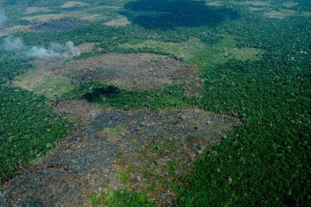 190 académicos piden a Duque detener la deforestación de la Amazonía