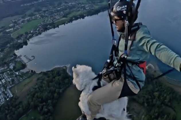 “Hay límites”: critican a hombre que saltó con su perro en paracaídas 