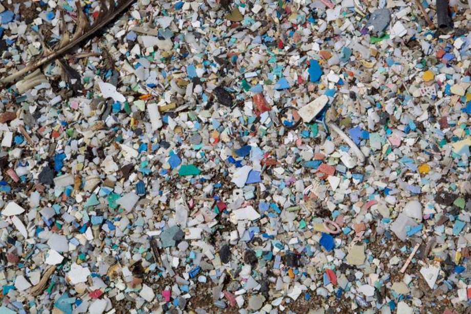 El plástico se ha convertido en uno de los grandes contaminantes del planeta, causando graves efectos sobre diversos ecosistemas. 