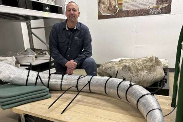 Encontraron un colmillo de mamut de 2 metros al fondo de una mina de carbón