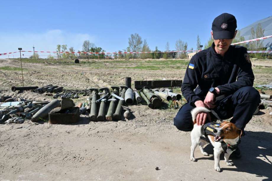 El perro detector de explosivos Patron, durante un día de trabajo en Kiev, Ucrania.