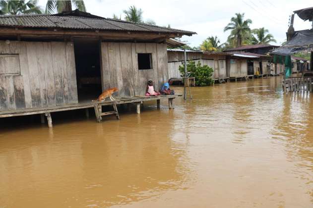 Inundaciones en Chocó dejan más de 50 mil personas damnificadas
