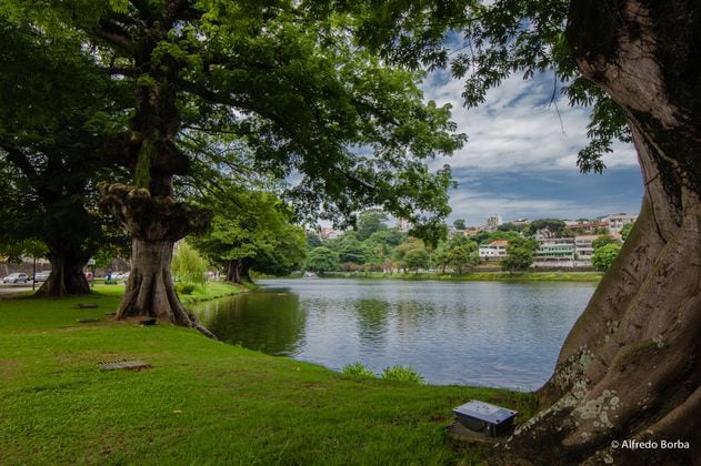 Desde Medellín hasta Seúl, la naturaleza puede mejorar nuestras ciudades