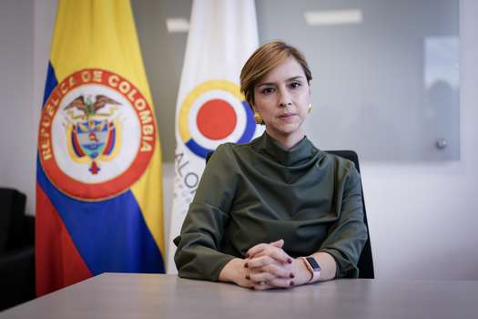 Lina María Aldana, la contralora delegada para el sector salud.