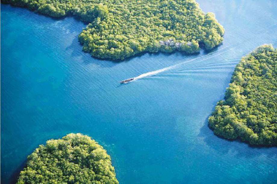Al noreste de Panamá se encuentra el archipiélago de Bocas del Toro. Selvas y bosques vírgenes, rodeados del mar Caribe, integran este paraíso. 
