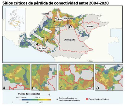 Lo que pasa cuando perdemos la conectividad entre la Amazonia y los Andes