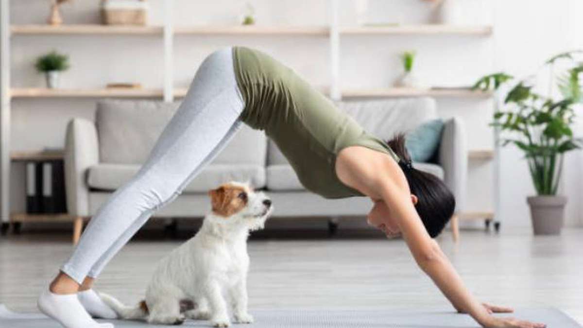In Italia hanno vietato lo yoga con i cuccioli, perché?  |  Le notizie di oggi