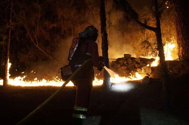Incendio en Tenerife, España, quemó 4.000 hectáreas