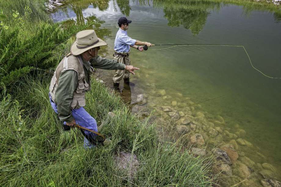 La pesca deportiva consiste en atrapar al pez, generalmente con un anzuelo, y luego dejarlo en libertad (imagen de referencia).