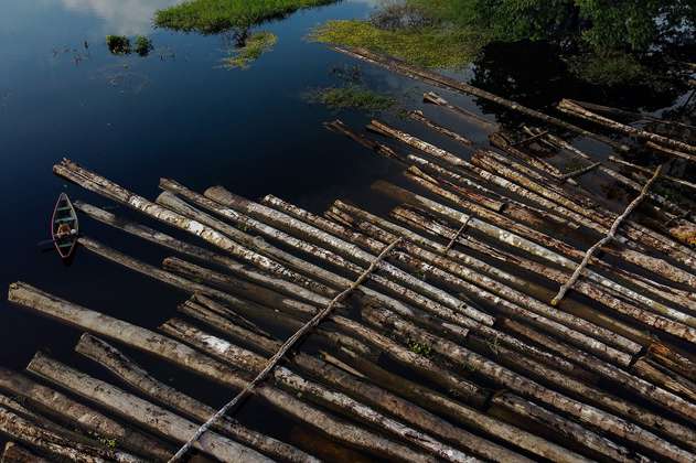 Nace primera iniciativa científica por la supervivencia de la Amazonía