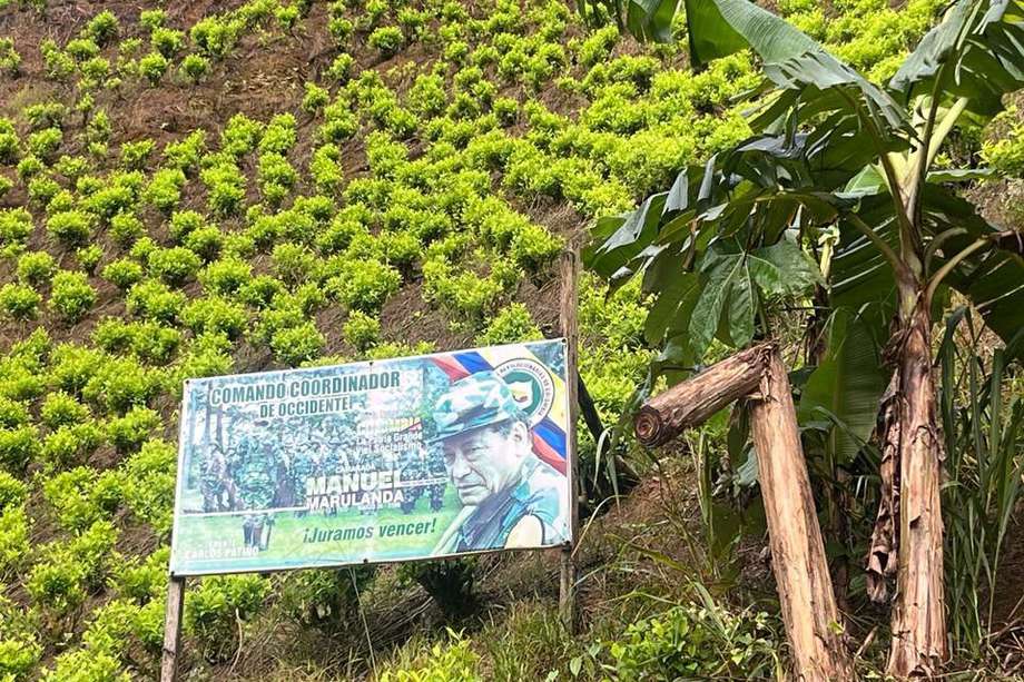 Hay pintas y pancartas que cuelgan de palos improvisados o de los mismos cultivos de coca con mensajes alusivos a los frentes que comandan la zona.