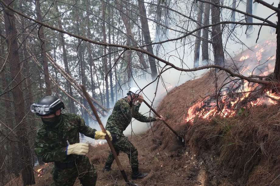 Cuatro hectáreas de los cerros han sido afectadas por las llamas. 1.000 estudiantes han evacuado y 361 personas, entre autoridades locales y nacionales, unen esfuerzos para controlar el incendio.