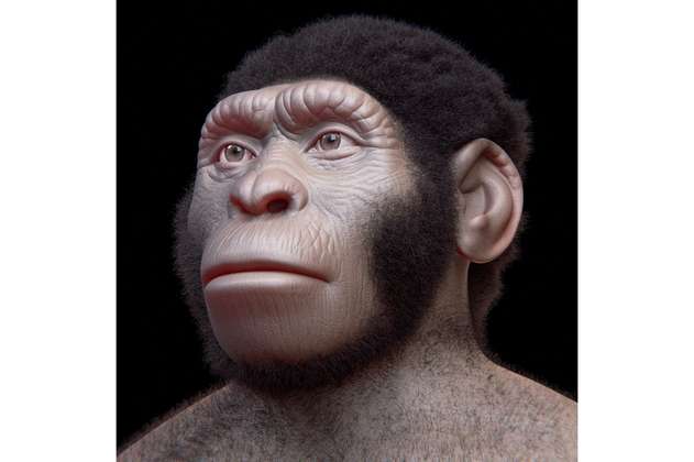 La antigua especie Homo naledi habría enterrado a sus muertos hace 200.000 años