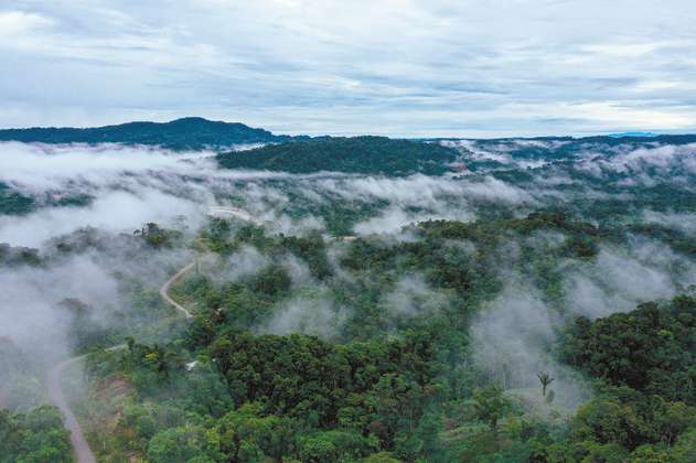 Así es como la deforestación en la Amazonia reduce las lluvias en los Andes