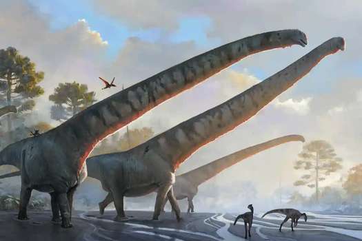Este sería Mamenchisaurus sinocanadorum, un herbívoro con el cuello más largo de la historia y que caminaba por lo que ahora es el este de Asia.