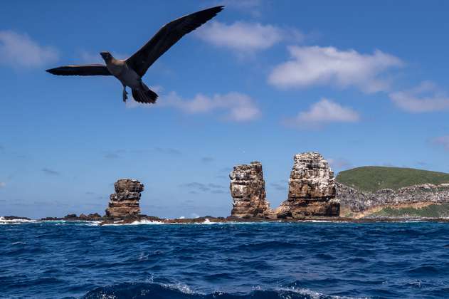 Galápagos, un destino que se hace más exclusivo al turismo para cuidar su entorno natural