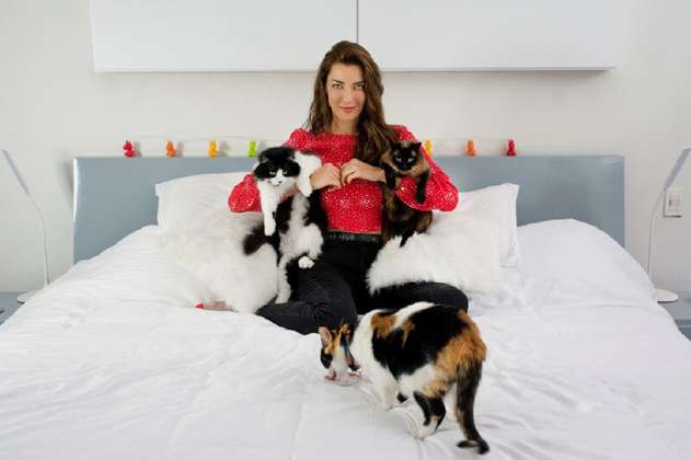 “Los gatos son mejores mascotas que los perros”:  Norma Nivia 
