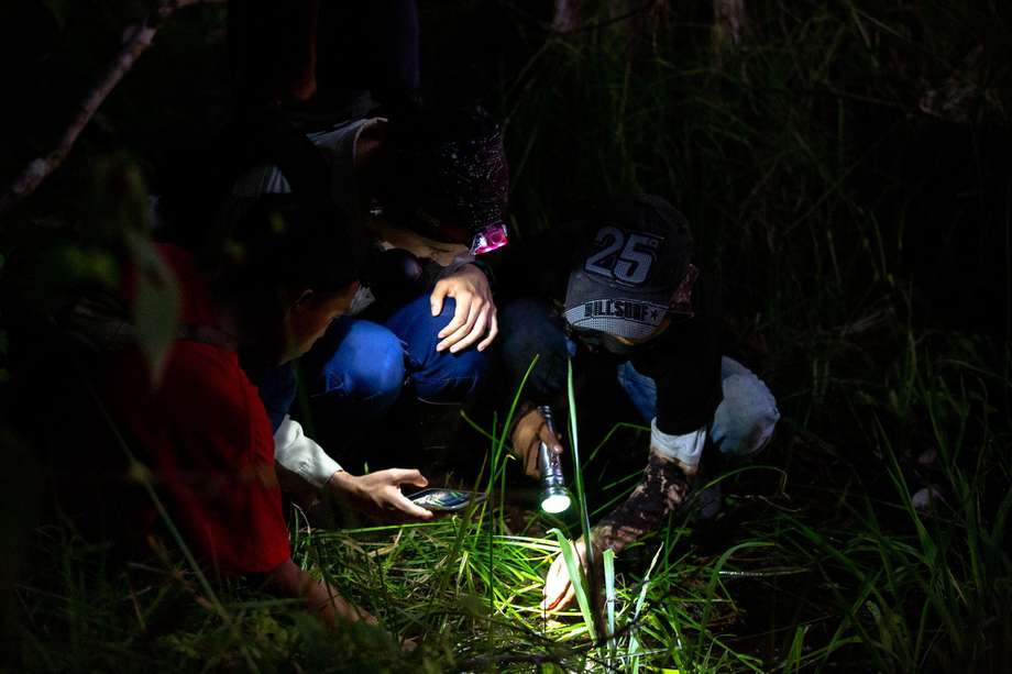 Ciudadanos observando reptiles y anfibios en Leticia, Amazonas, Colombia. Proyecto BioBlitz / Foto: Felipe Villegas Instituto Humboldt