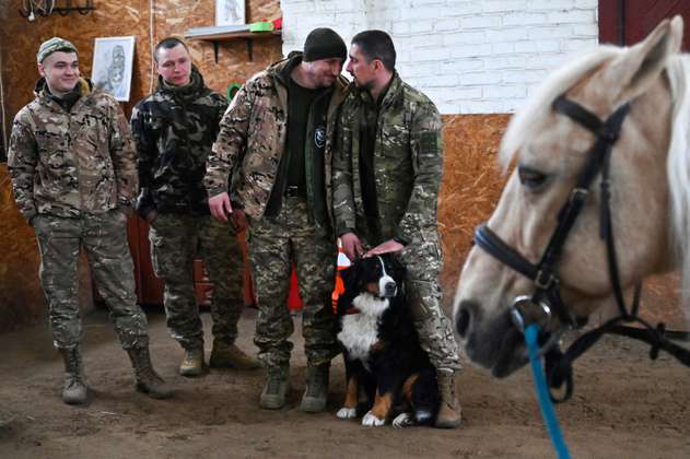 (Fotos) Así es como los animales “alivian el alma” de los soldados ucranianos