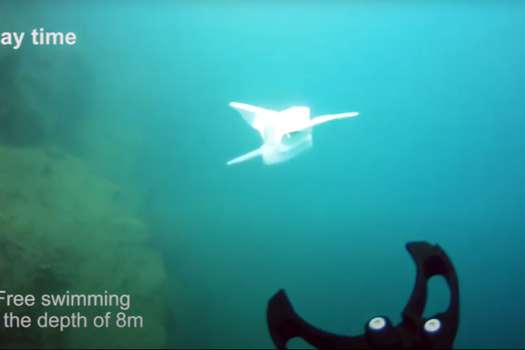 Imagen de la prueba a una profundidad de 70 metros.