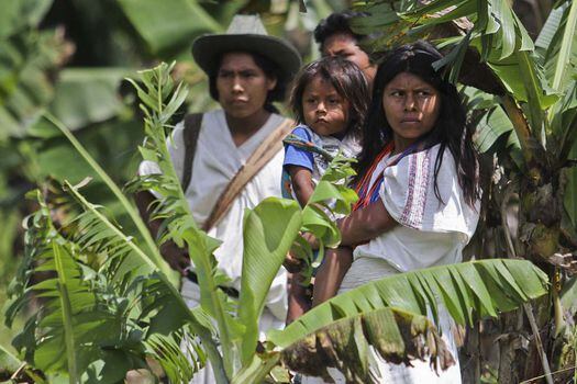 El Decreto 1953 otorga a las entidades indígenas recursos del sistema general de participación.  / AFP