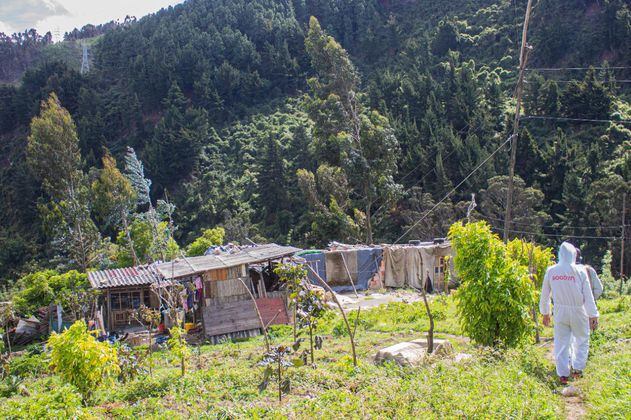 Frenan cuatro construcciones ilegales en los cerros orientales de Bogotá