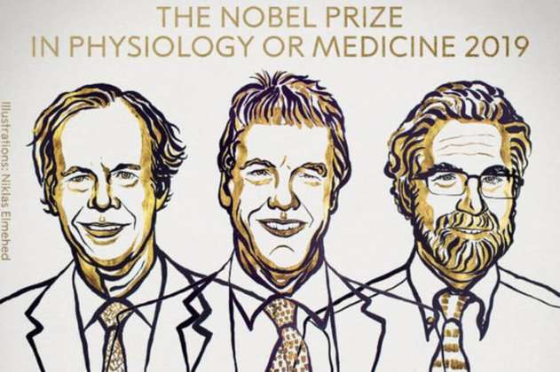 La investigación premiada con un Nobel que prolonga la vida de pacientes de cáncer