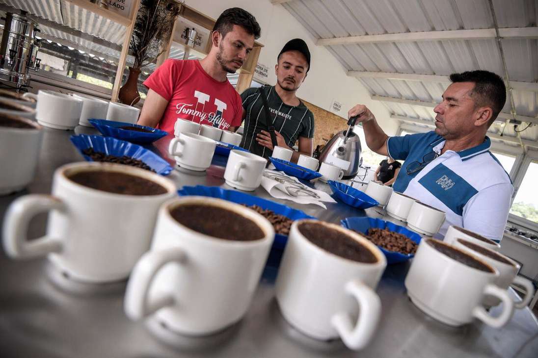 Recorrer fincas cafeteras, probar algunos de los cafés más ricos del país y aprender cobre el proceso de este grano, son imperdibles en Ulloa.