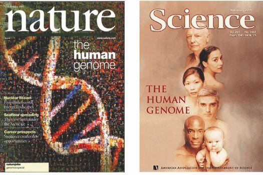 Portadas de las revistas “Nature” y “Science” cuando publicaron los artículos en febrero de 2001.