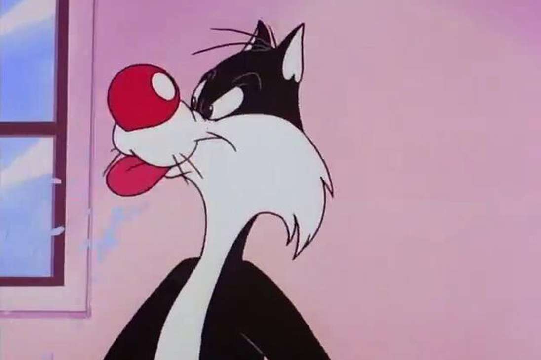Silvestre (originalmente Silvester J. Pussycat, Sr., Sylvester el Gato y, sobre todo, Sylvester o Puddy Cat en la versión de los dibujos animados e historietas estadounidenses Looney Tunes) es un personaje de caricaturas creado por Friz Freleng. debutó en el dibujo animado "Life with Feathers" dirigido por Friz Freleng y "Tweetie Pie" fue la primera aparición de Silvestre con Tweety o Piolín.  También apareció frecuentemente en dibujos animados de Bugs Bunny, Porky Pig y el Pato Lucas respectivamente. Tres de sus caricaturas ganaron Premios de la Academia.
