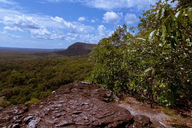 San José del Guaviare: destino de aventura, naturaleza y sostenibilidad