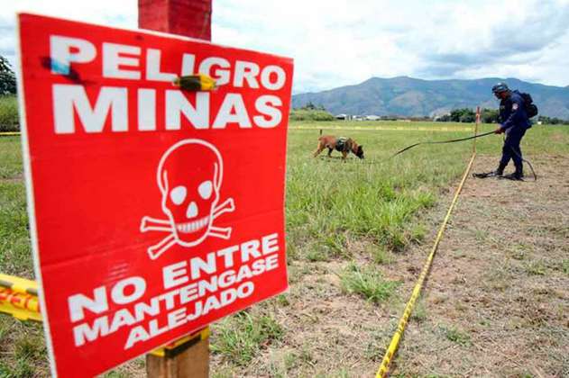 Colombia espera estar totalmente libre de minas antipersonales para el 2021