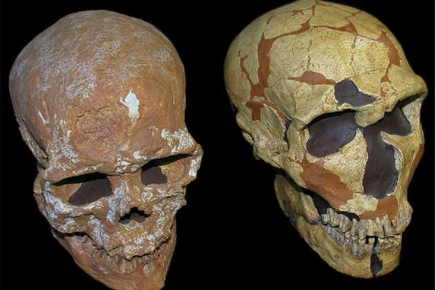 Los neandertales habrían tenido una visión superior a la del ser humano moderno