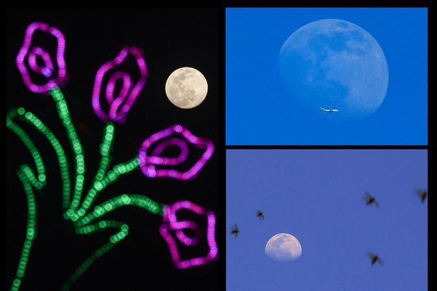 En fotos: Así fue la primera Superluna de 2021 