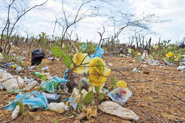 Proyecto en el Concejo busca eliminar el uso de plásticos de un solo uso en Bogotá