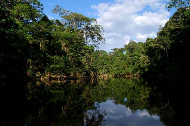 Avanza uno de los corredores que protegerá la Amazonia