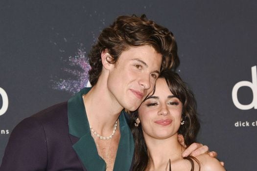 Shawn Mendes y Camila Cabello se conocieron en 2014 y son pareja desde 2019, año en el que lanzaron la canción "Señorita".