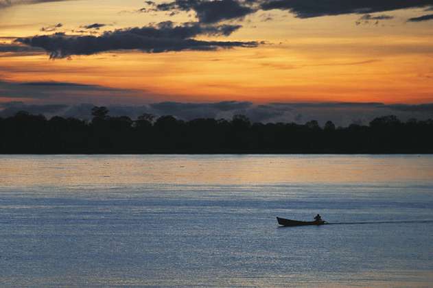 Una guía para salvar la Cuenca Amazónica