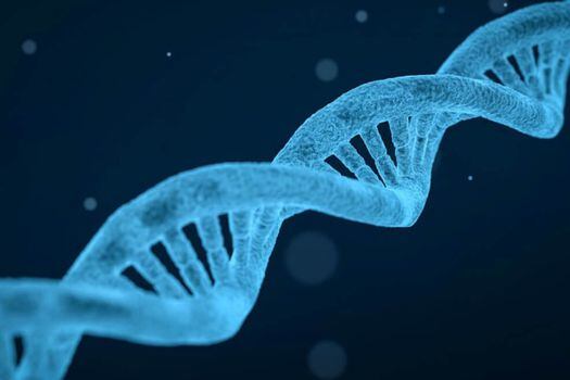 La investigación ayudaría a definir los fundamentos genéticos de la capacidad de las personas para responder y adaptarse a una inmensa variedad de enfermedades. / Pixabay
