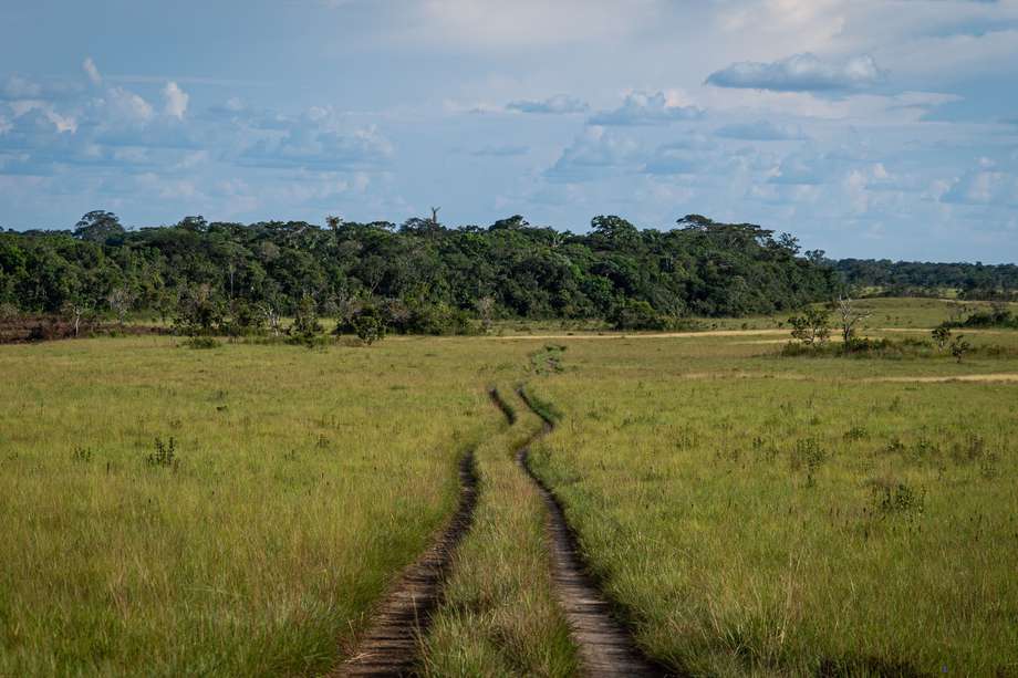 Las sabanas del Yarí es una zona ubicada en la selva amazónica de los departamentos de Caquetá, Guaviare y Meta.