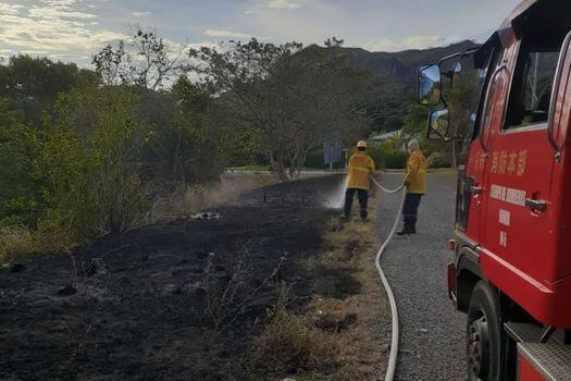 Tolima está en alerta naranja luego de que, en los últimos cinco días, se registraran varios incendios forestales que amenazan la fauna silvestre. Hasta el momento, el fuego ha arrasado más de 3.000 hectáreas de vegetación.  / Bomberos Colombia