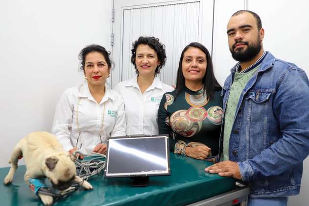 Colombianos crean el primer perro biomecánico y esperan cambiar la medicina veterinaria