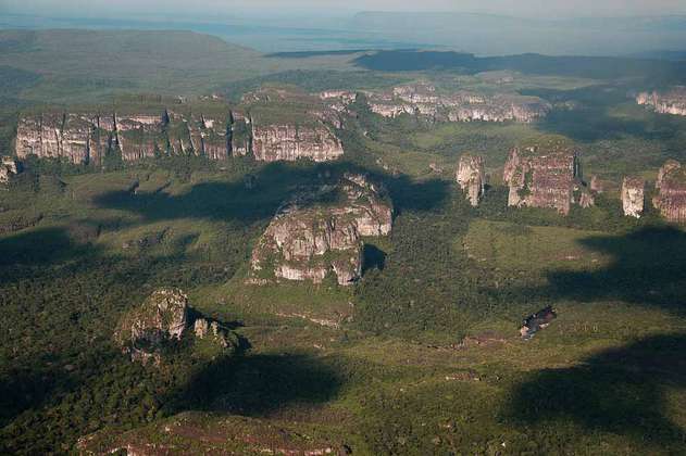 El presidente Iván Duque lanza campaña nacional para frenar la deforestación