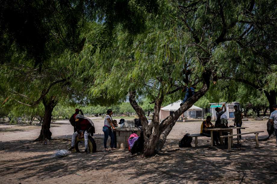 Familias esperan a la sombra de un árbol la oportunidad de ingresar al albergue para migrantes "Senda de Vida", en Reynosa, México. No hay suficiente espacio en los albergues locales, por lo que muchos migrantes se ven obligados a dormir al aire libre, en la calle o en campamentos improvisados.