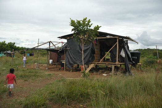 Así son las casas improvisadas de los Awá Mayasquer en Villagarzón (Putumayo). / Fotos: Gustavo Torrijos - El Espectador  