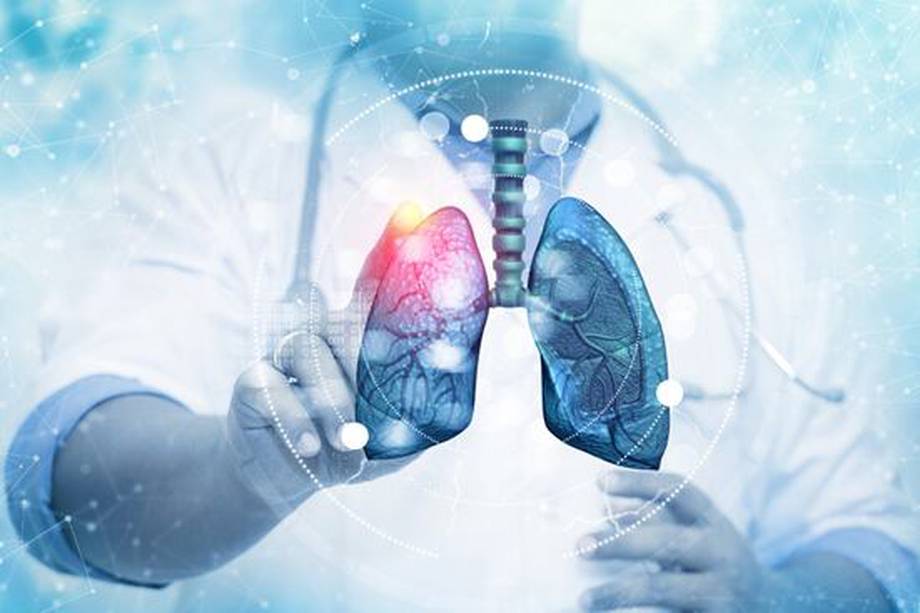 Los pulmones están expuestos constantemente a toxinas del aire que respiramos.