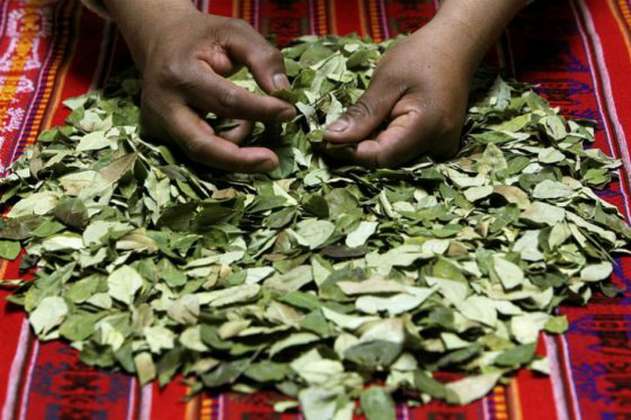 En Bolivia ahora se puede pedir hojas de coca a domicilio
