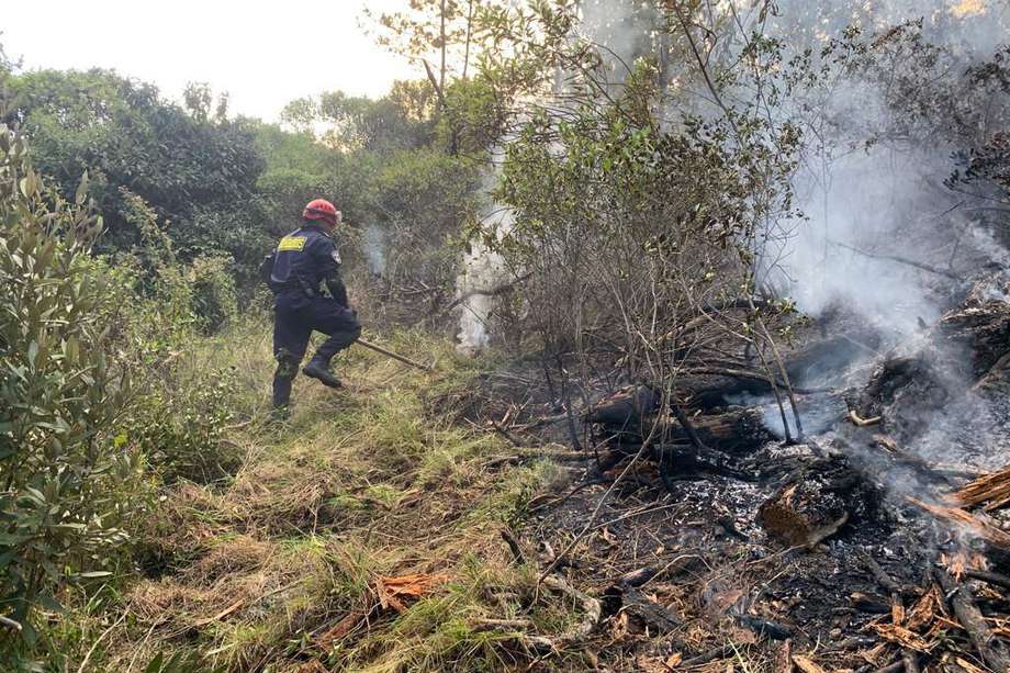Para el 11 de enero de 2024, ya iban 127 hectáreas afectadas por incendios forestales durante este año.